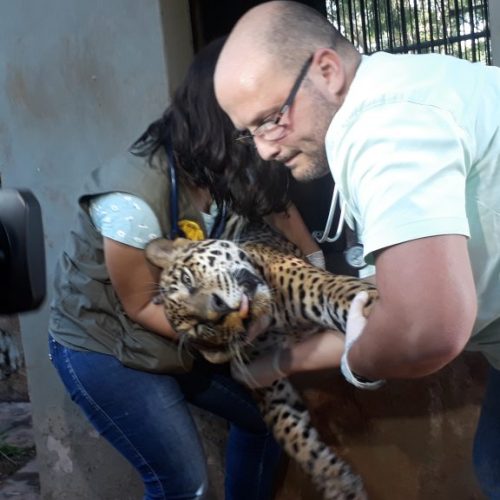 20190129_165031-1-1024x576-1