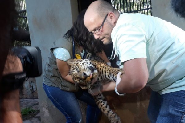 20190129_165031-1-1024x576-1