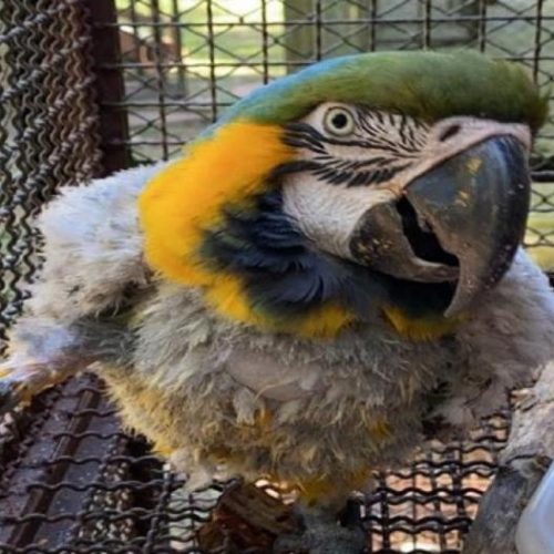 7e1855705ef42e8e4c3025024b2dfbca