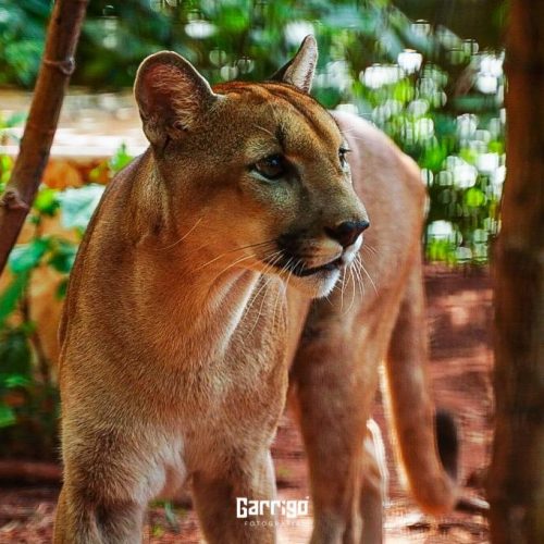 WhatsApp Image 2025-05-15 at 19.35.45