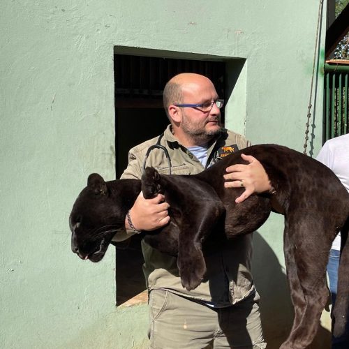 WhatsApp Image 2025-05-15 at 19.36.54