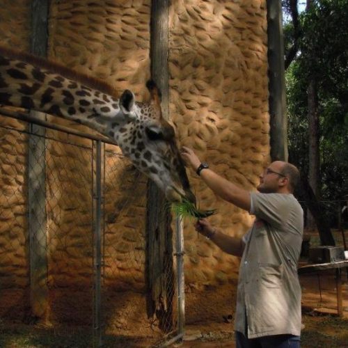 WhatsApp Image 2025-05-15 at 19.37.16