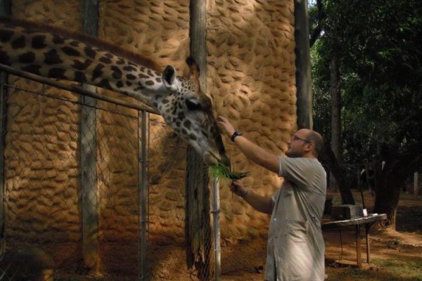 WhatsApp Image 2025-05-15 at 19.37.16