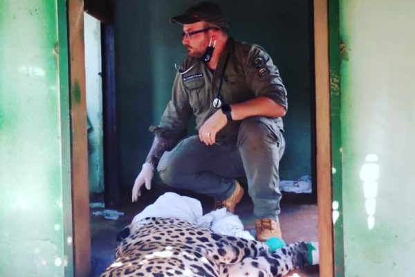 WhatsApp Image 2025-05-15 at 19.39.06