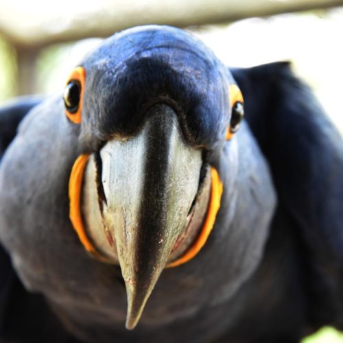 WhatsApp Image 2025-05-15 at 19.39.46