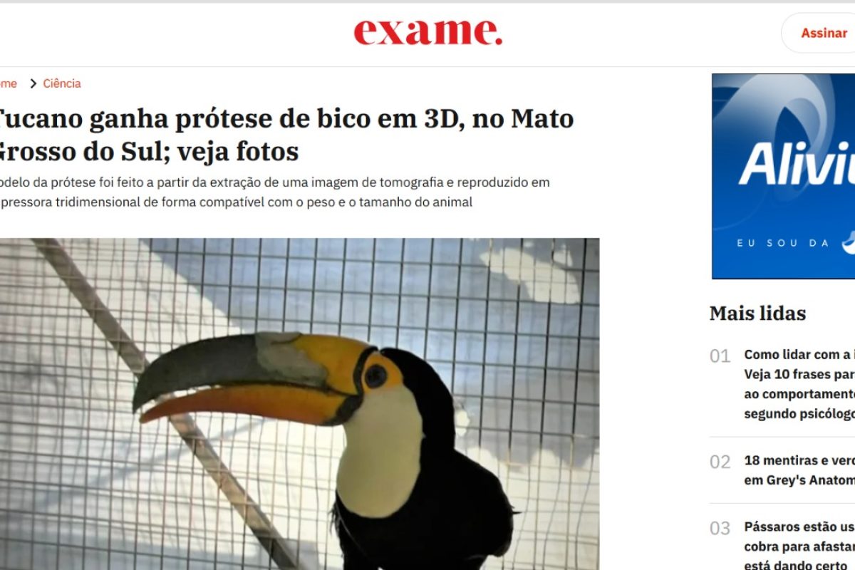 WhatsApp Image 2025-05-16 at 14.20.45