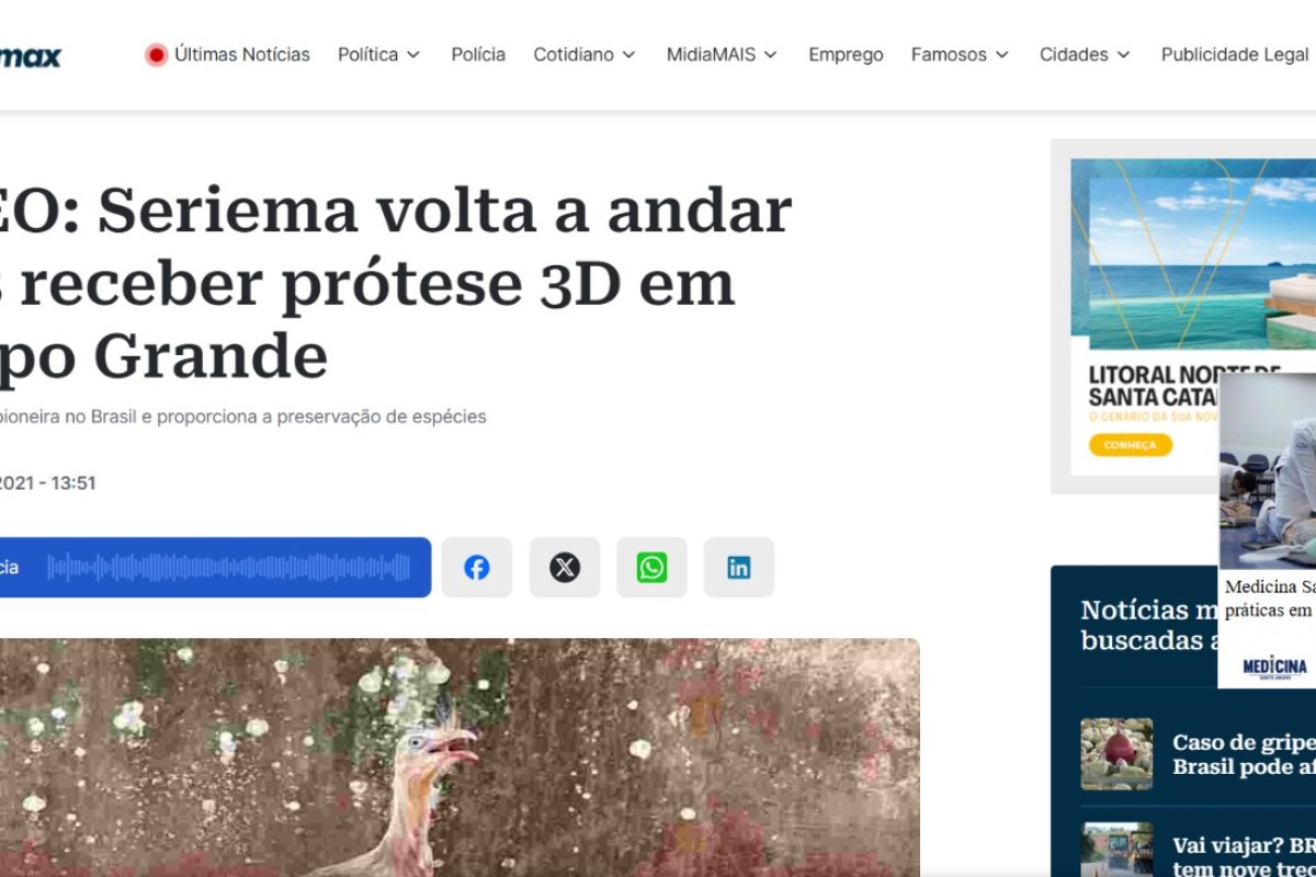 WhatsApp Image 2025-05-16 at 14.24.22