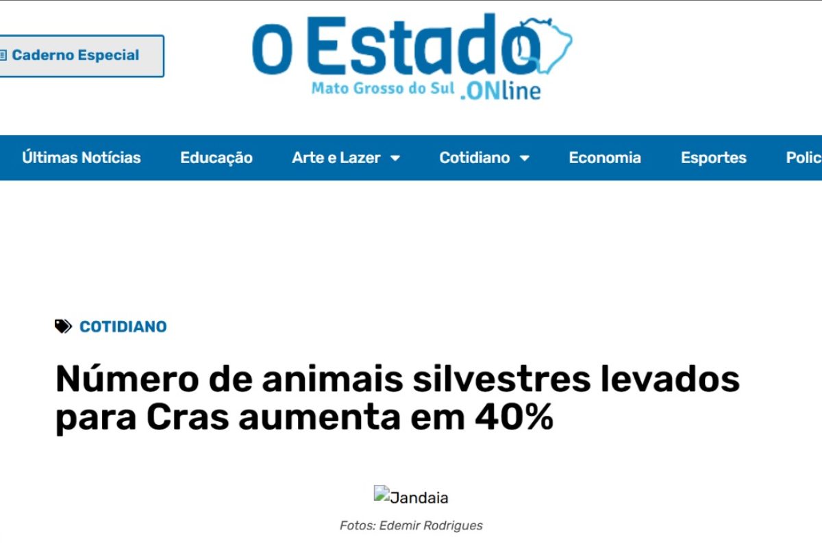 WhatsApp Image 2025-05-16 at 14.25.36