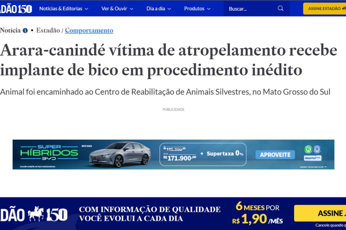 WhatsApp Image 2025-05-16 at 14.26.36