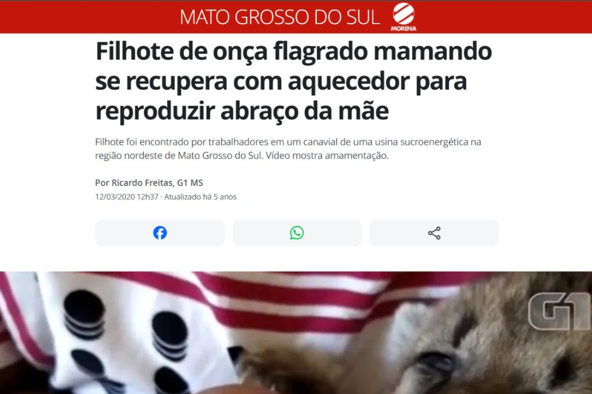 WhatsApp Image 2025-05-16 at 14.28.09