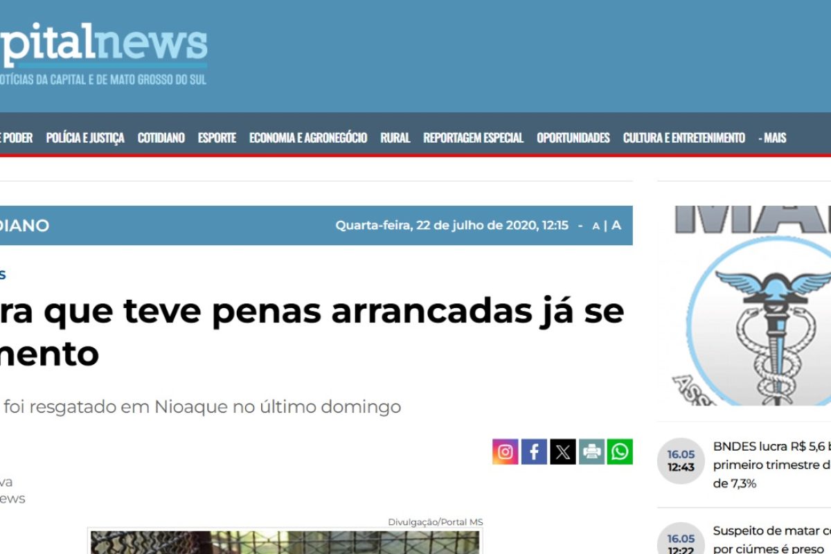 WhatsApp Image 2025-05-16 at 14.28.57