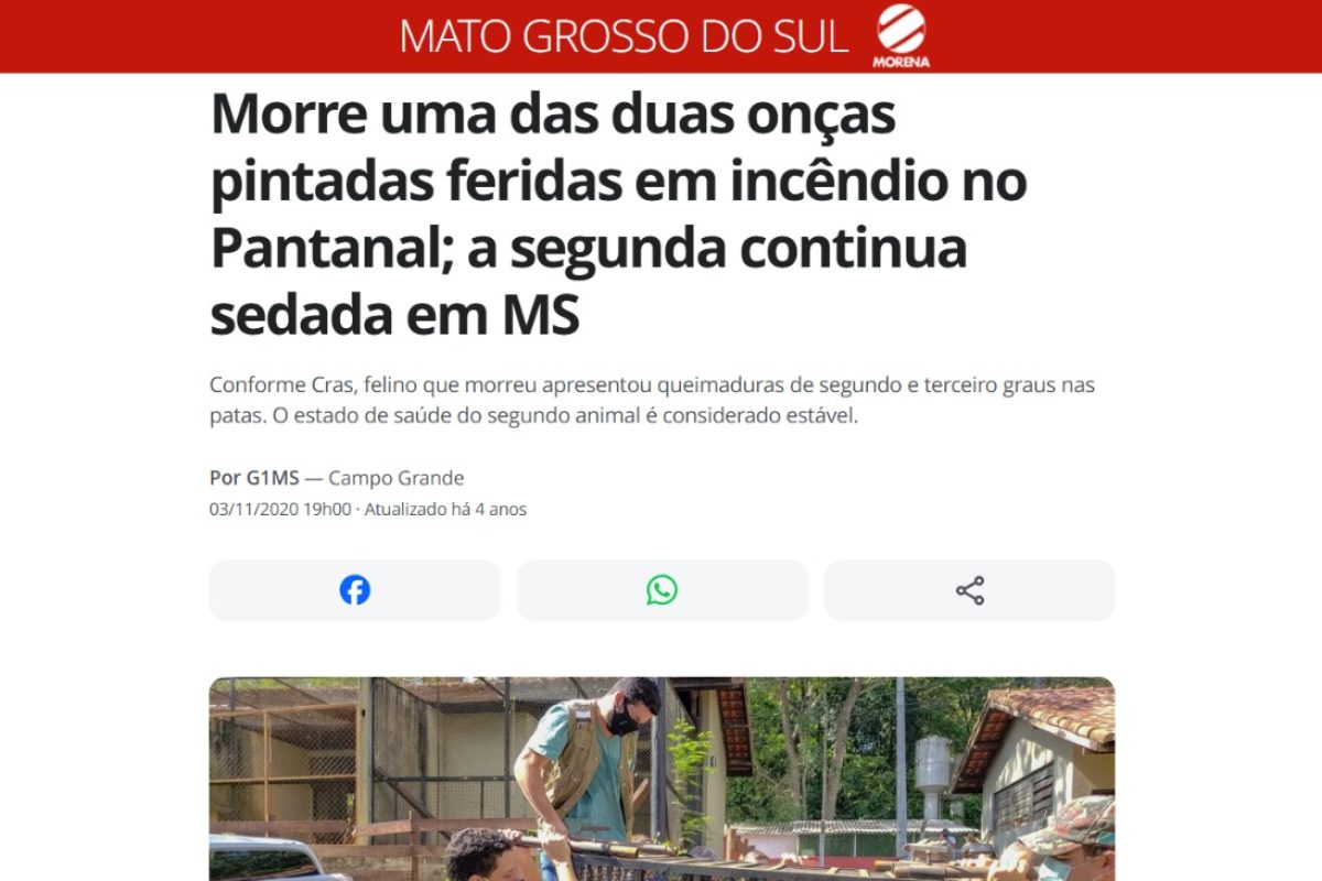 WhatsApp Image 2025-05-16 at 14.29.43