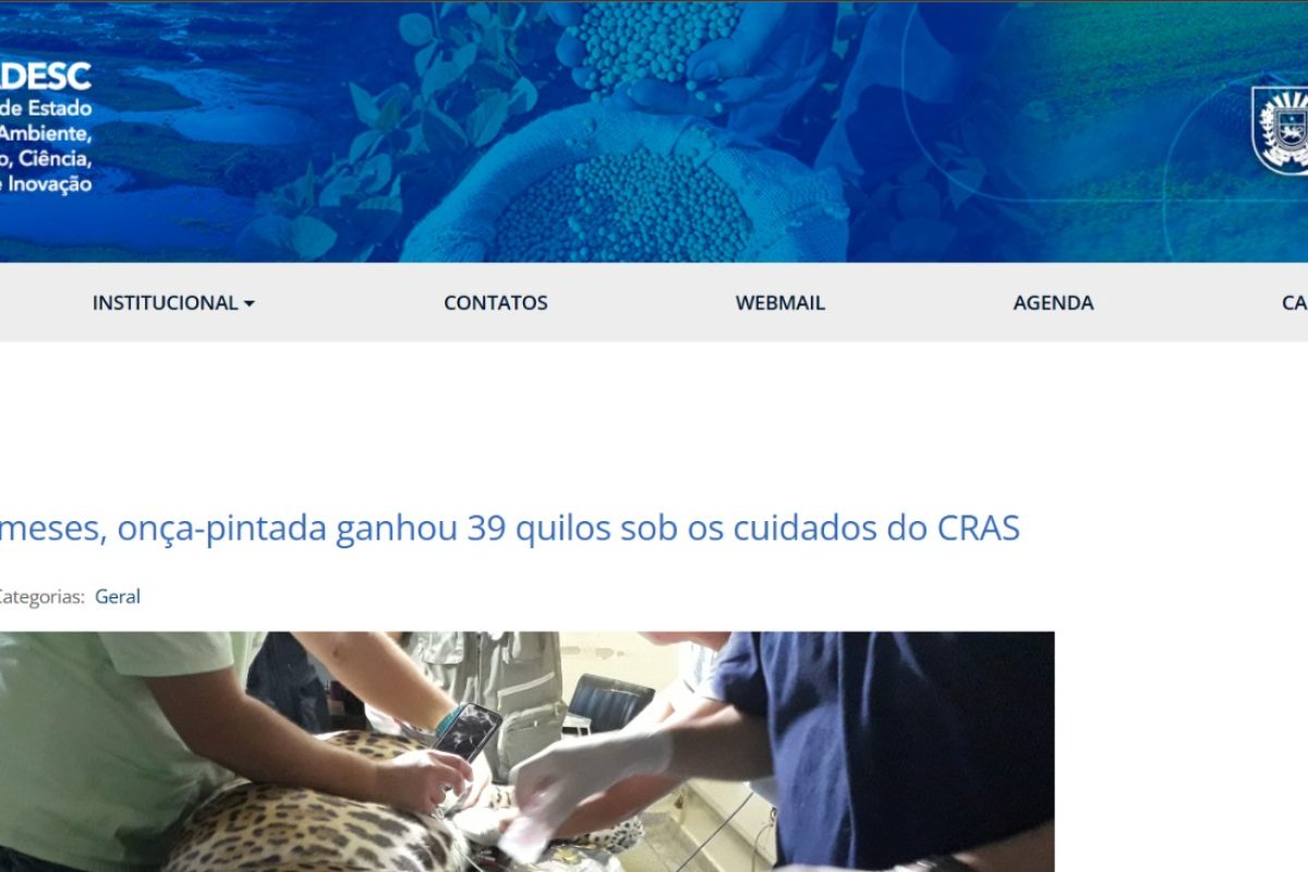 WhatsApp Image 2025-05-16 at 14.30.35