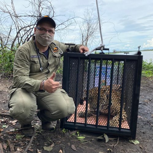 WhatsApp Image 2025-05-27 at 17.52.01