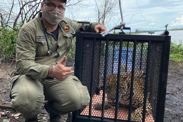 WhatsApp Image 2025-05-27 at 17.52.01