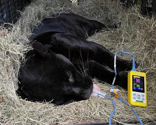 WhatsApp Image 2025-05-27 at 18.00.02